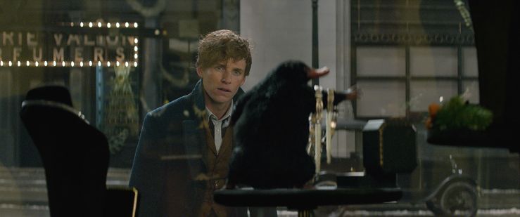 fantastic-beasts-and-where-to-find-them-51